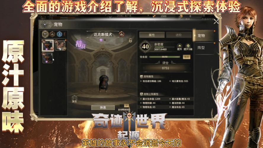 奇迹sf法师加点比例_众神奇迹sf_奇迹sf
